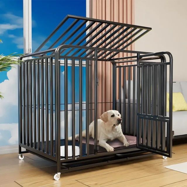 large dog kennels