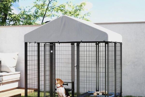Outdoor Dog Kennel with Roof: Comfort and Safety Combined dog kennel