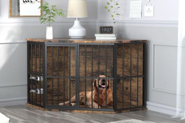 what size kennel for my dog