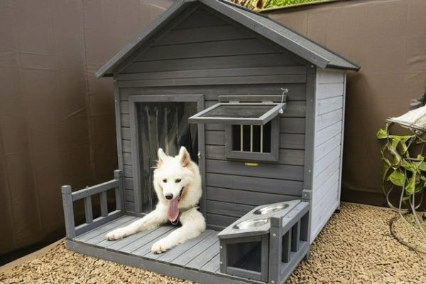 doghouse