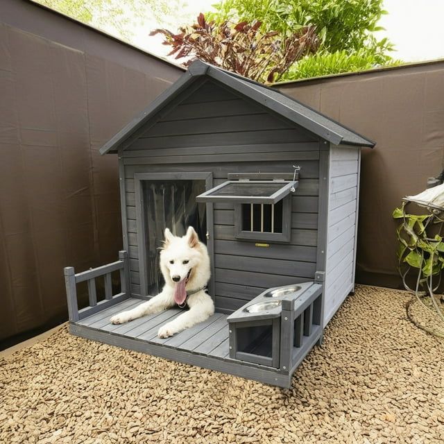 doghouse