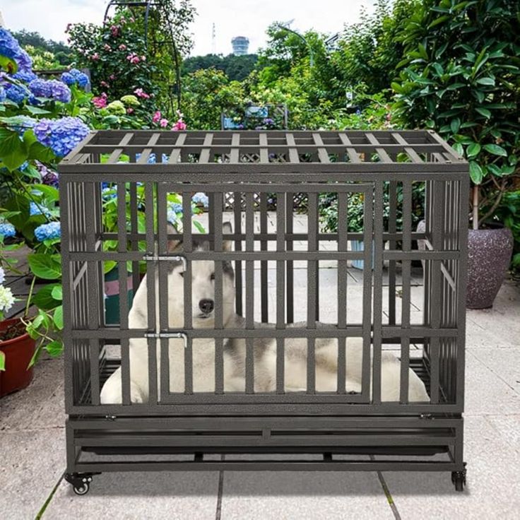 Metal dog kennel