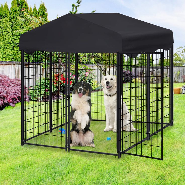  kennel