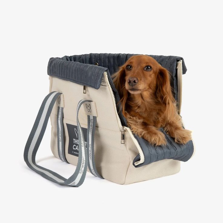 Tote Dog Carrier