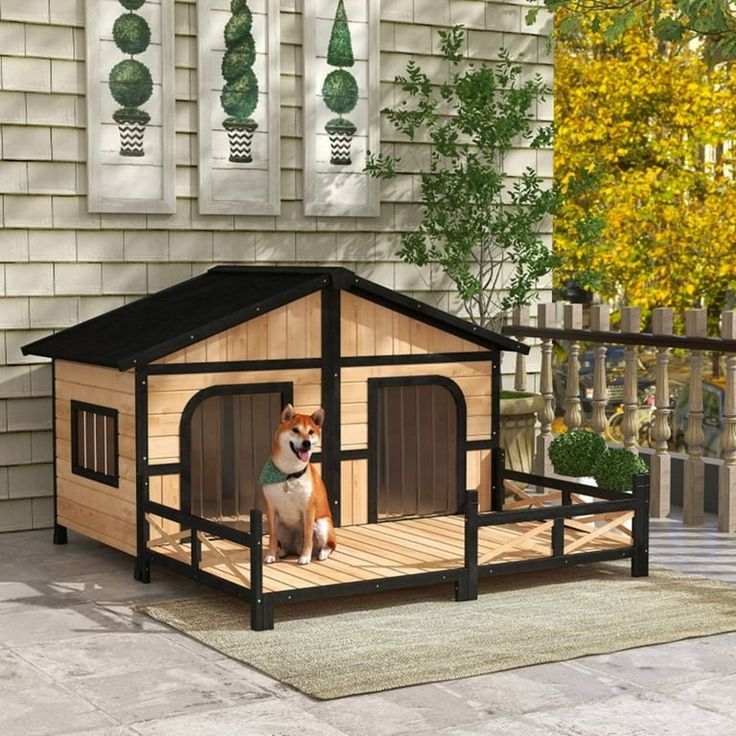 dog kennel