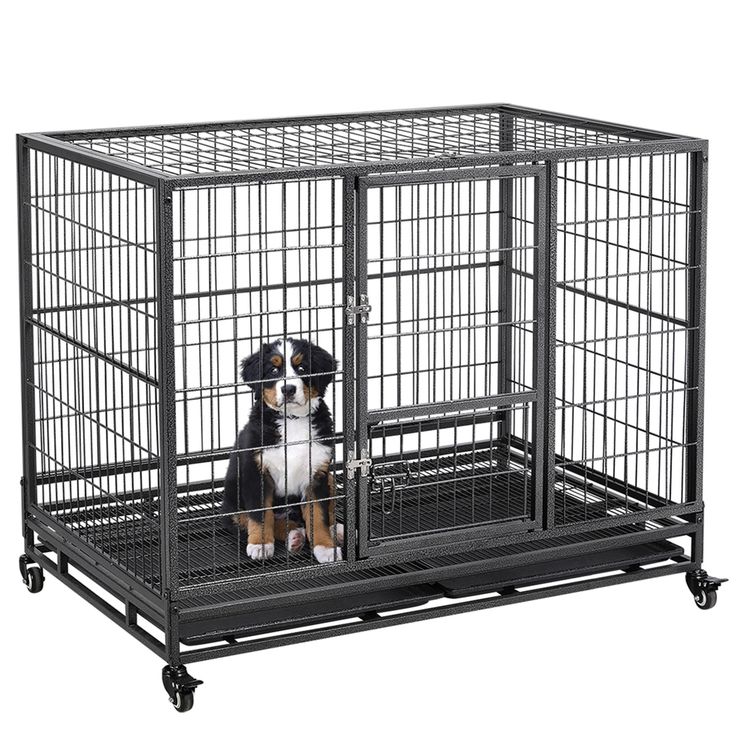 chain link dog kennel