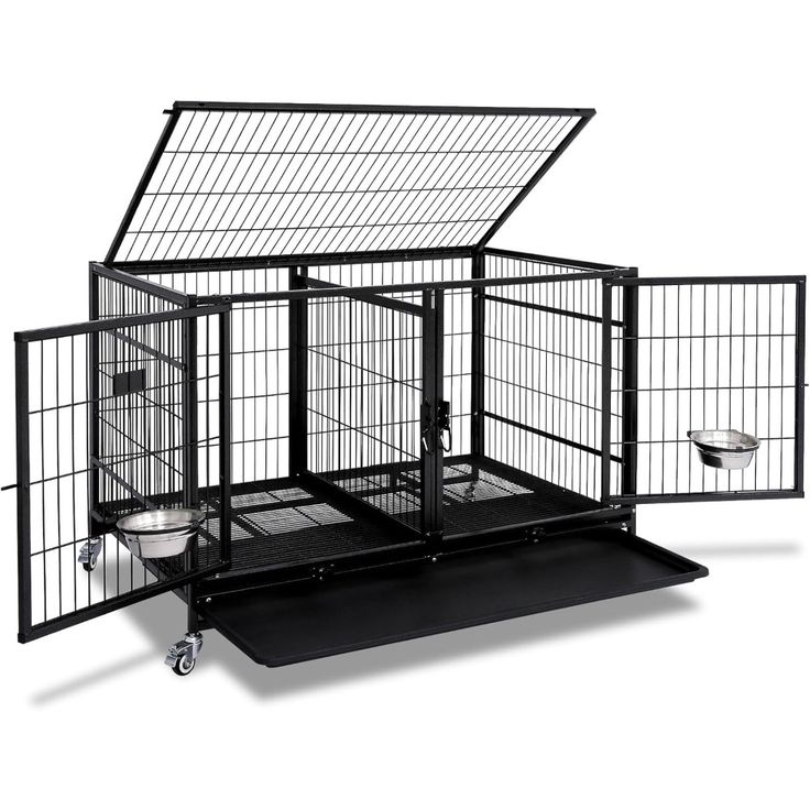 huge indoor dog kennels