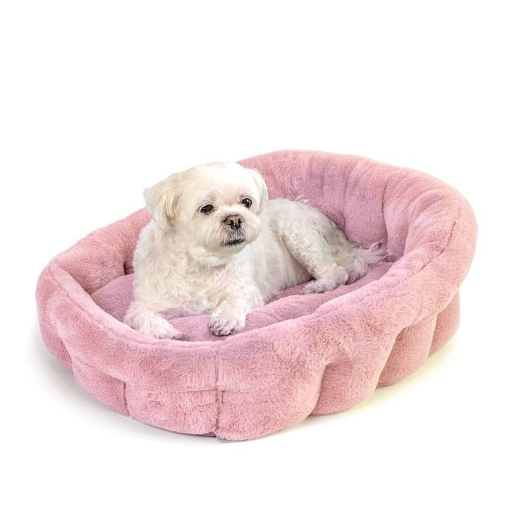 pink kennel