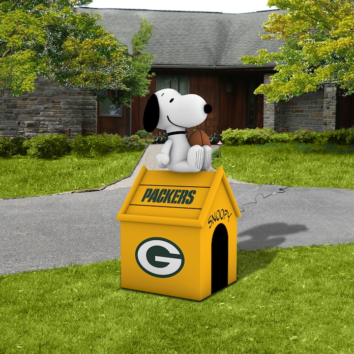 snoopy doghouse