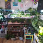 how to decorate a fish tank