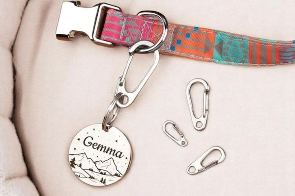 Essential Guide to Pet ID Tag: Essential for Every Pet pet id tag