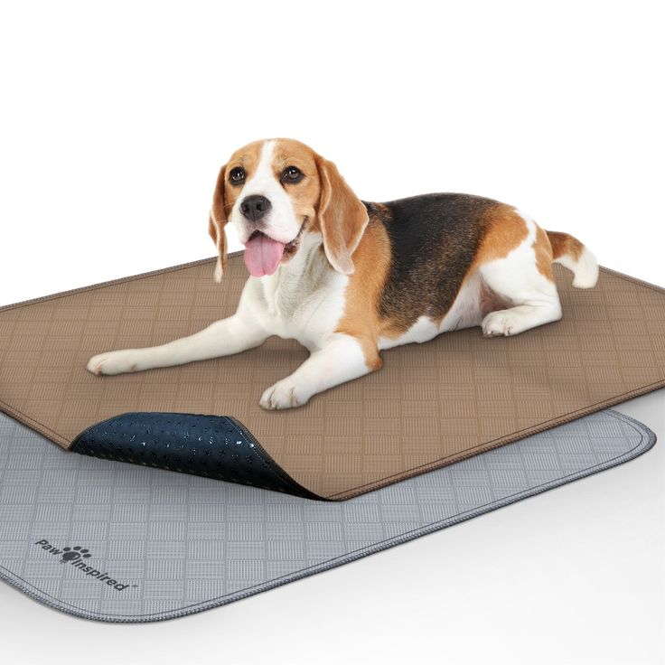 pet training pads