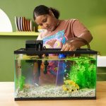 how to get rid of algae in fish tank