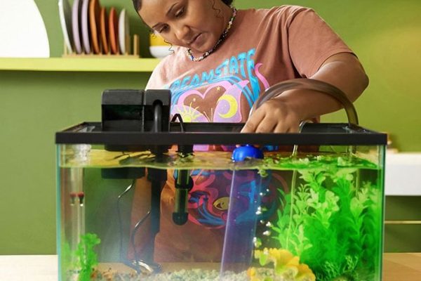 How to Get Rid of Algae in Fish Tank: Effective Solutions how to get rid of algae in fish tank