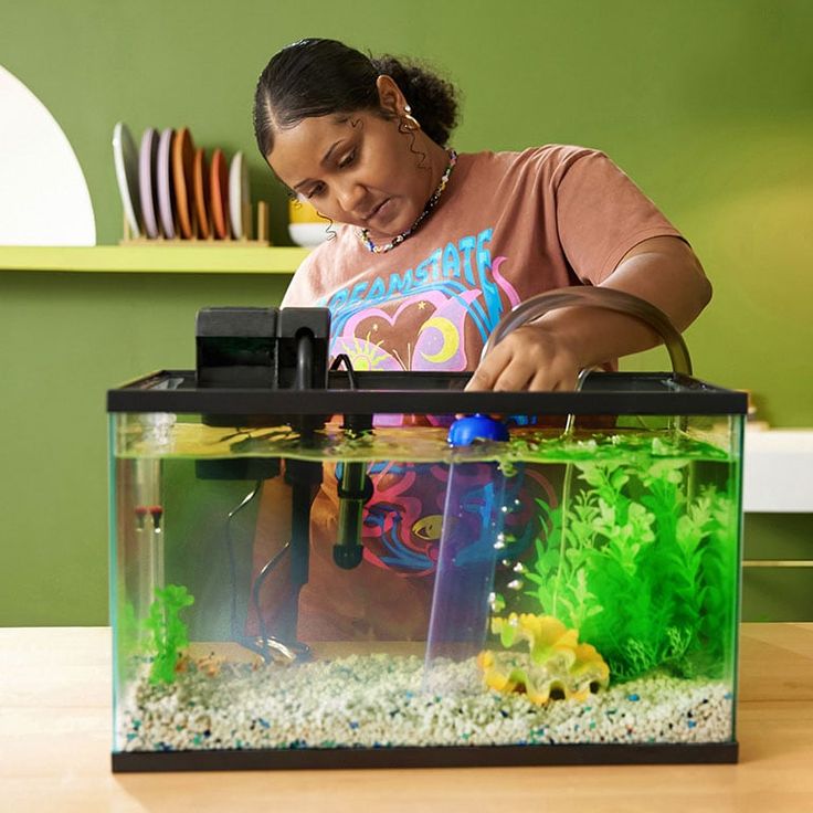 how to get rid of algae in fish tank