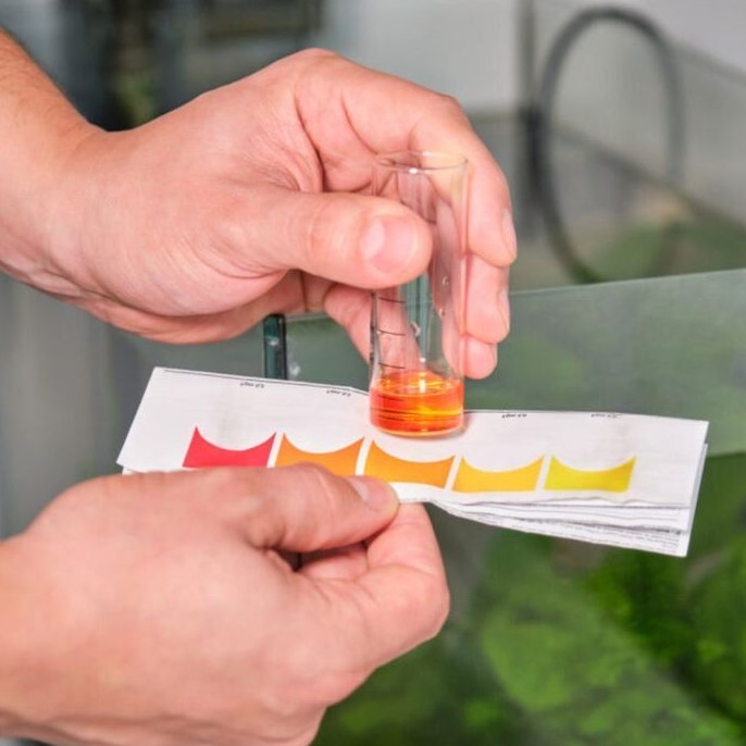 how to lower nitrates in fish tank