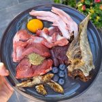 raw and fresh pet food