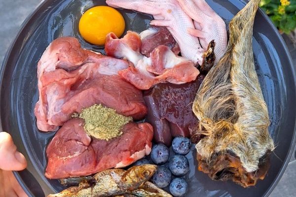raw and fresh pet food
