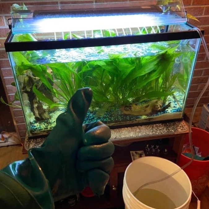 how to lower nitrates in fish tank