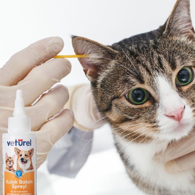 pet ear cleaner