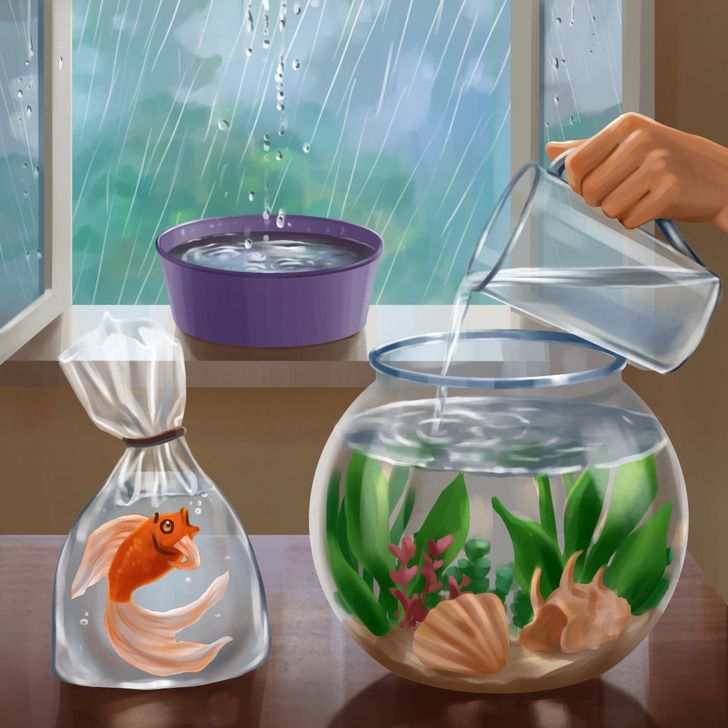 can you use distilled water in a fish tank