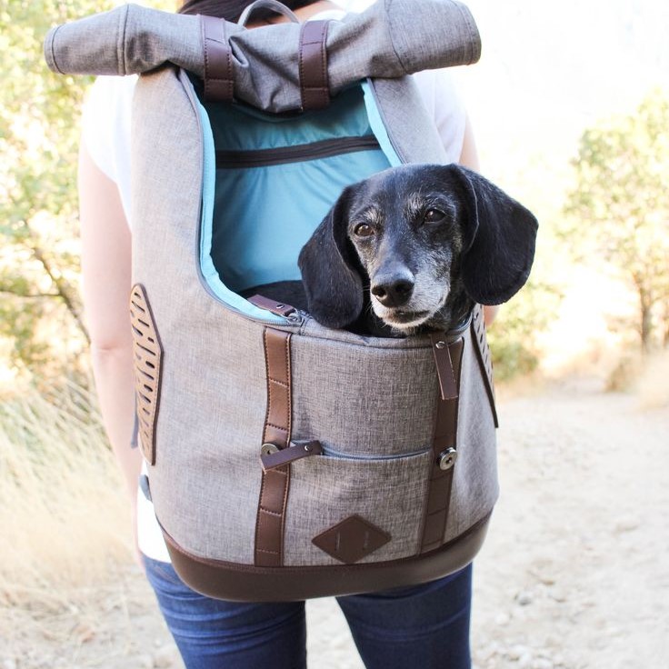 pet backpack