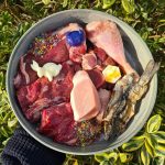 what is raw pet food