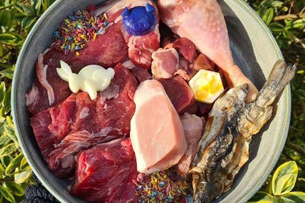 What Is Raw Pet Food Explained: Safety and Nutrition what is raw pet food