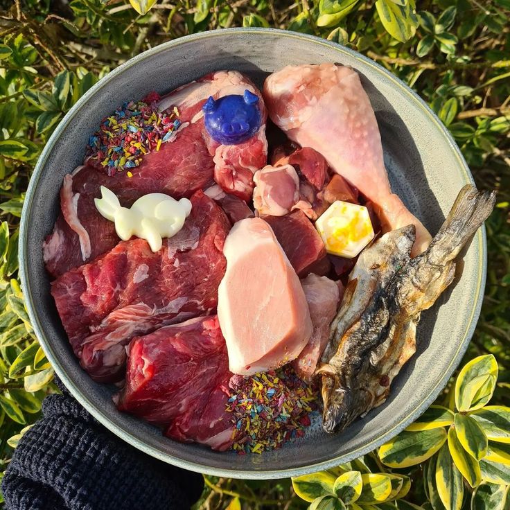 what is raw pet food