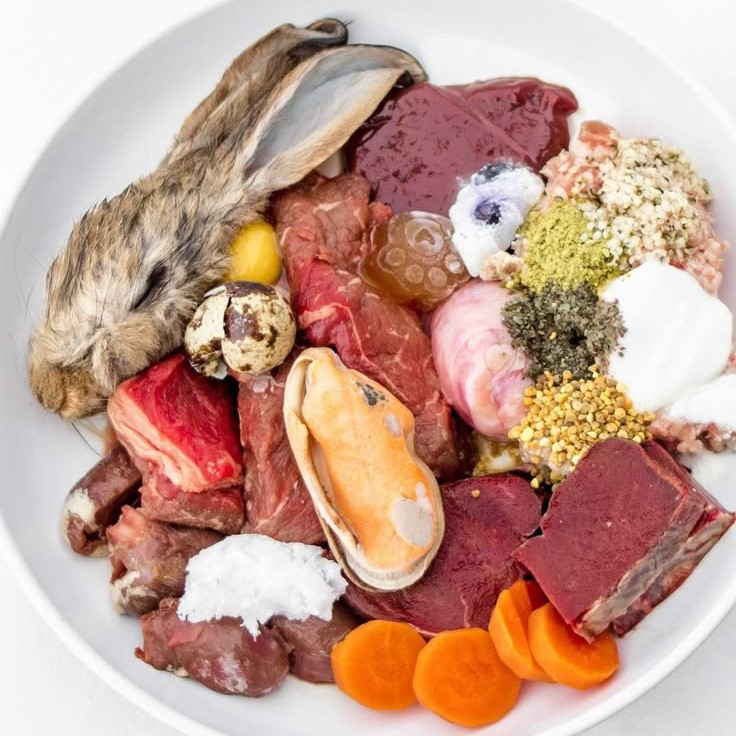 what is raw pet food