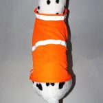 dog safety vest