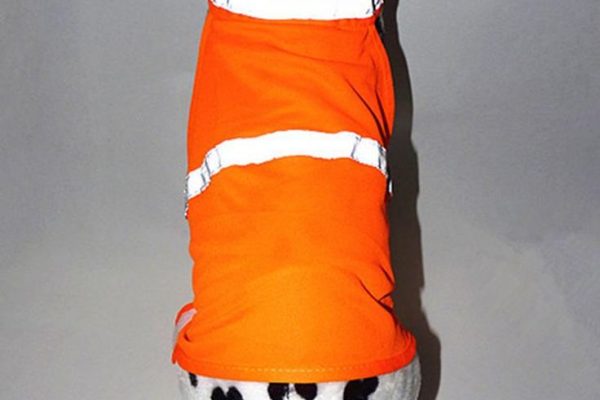 Dog Safety Vest: Essential Gear for Outdoor Adventures dog safety vest