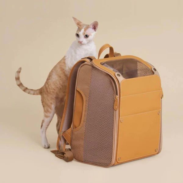 pet backpack
