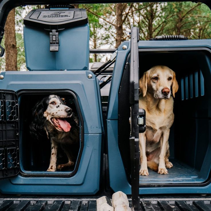 travel kennel for large dogs
