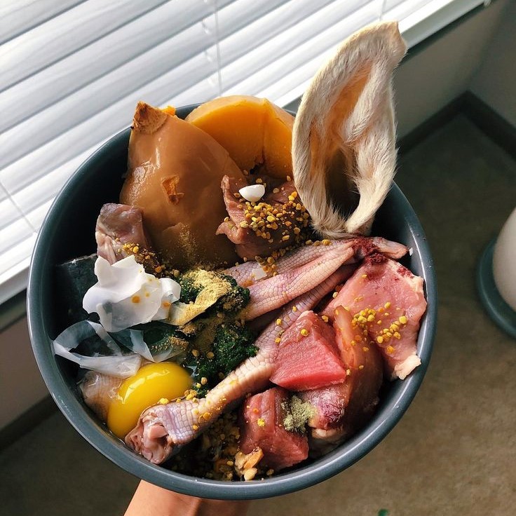 what is raw pet food