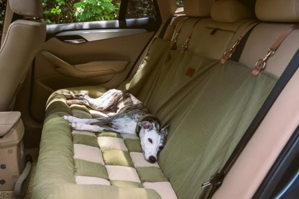 Top Car Seat Cover for Dogs: Keep Your Car Clean & Cozy car seat cover for dogs