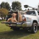 travel kennel