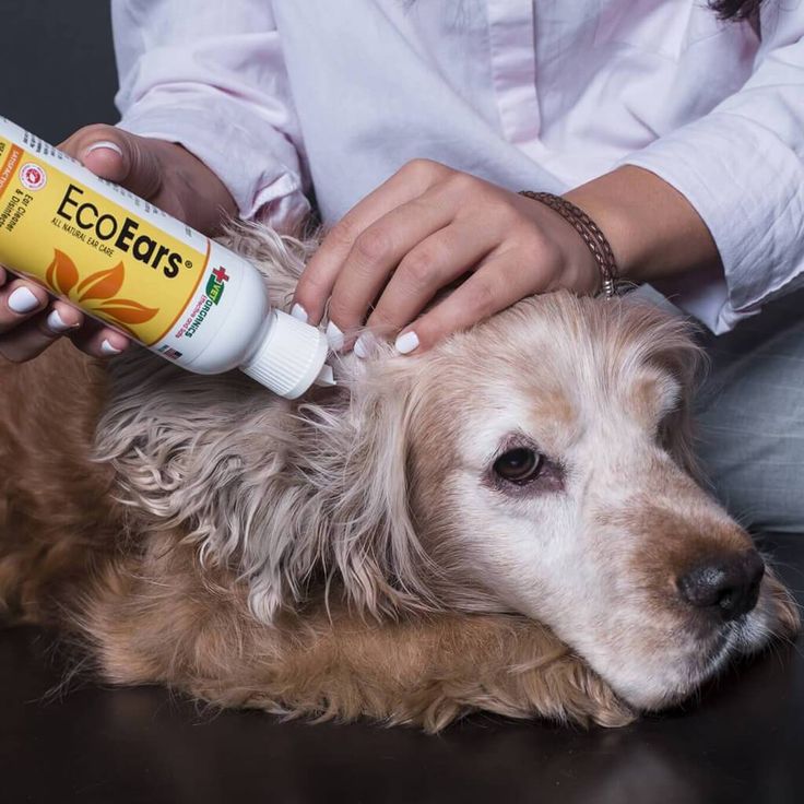 pet ear cleaner