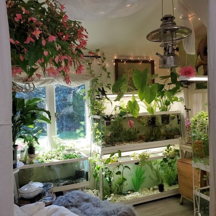 how to decorate a fish tank
