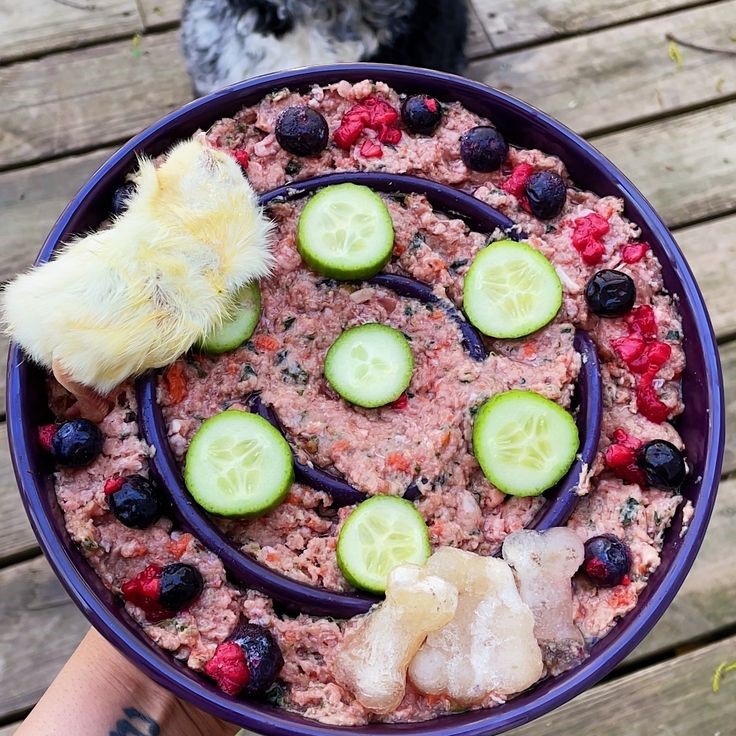 raw and fresh pet food