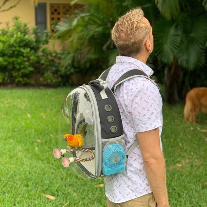 pet handle backpack
