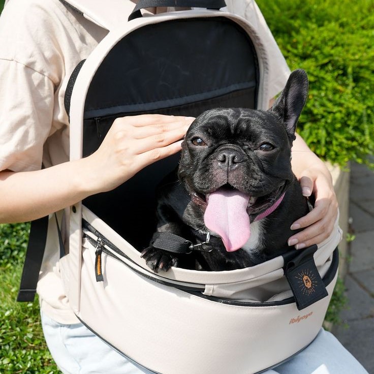 pet handle backpack