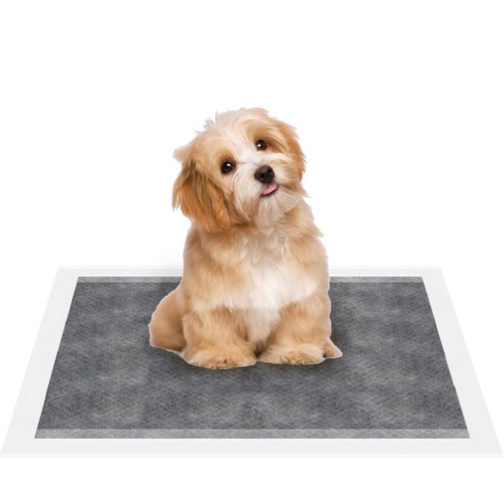 pet training pads