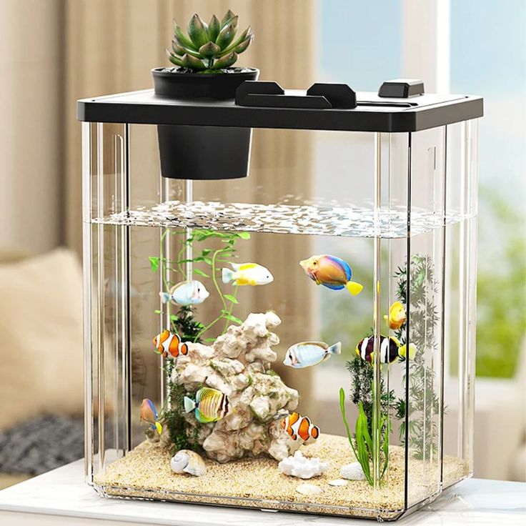 can you use distilled water in a fish tank