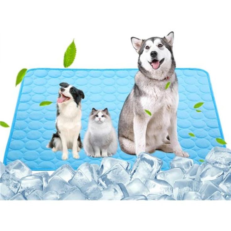 pet cooling mat