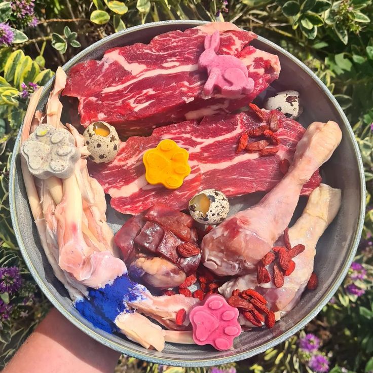 raw and fresh pet food