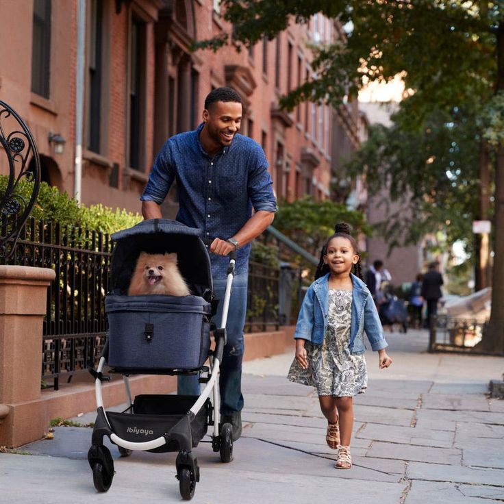 pet stroller for dogs