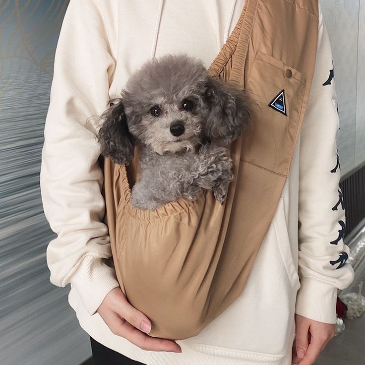 pet backpack