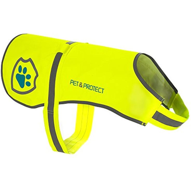 dog safety vest