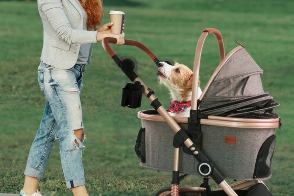 Best Pet Stroller for Dogs: Top Picks for 2025 Adventures pet stroller for dogs
